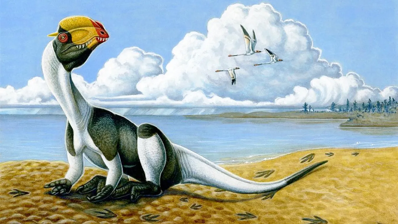 Dilophosaurus wetherilli 
