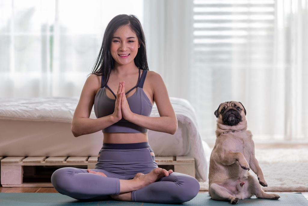 Otthoni jógázás kutyával Woman,Practice,Yoga,With,Dog,Pug,Breed,Enjoy,And,Relax practice,pug,happy,body,smile,domestic,fit,fitness,pet,attractiv 