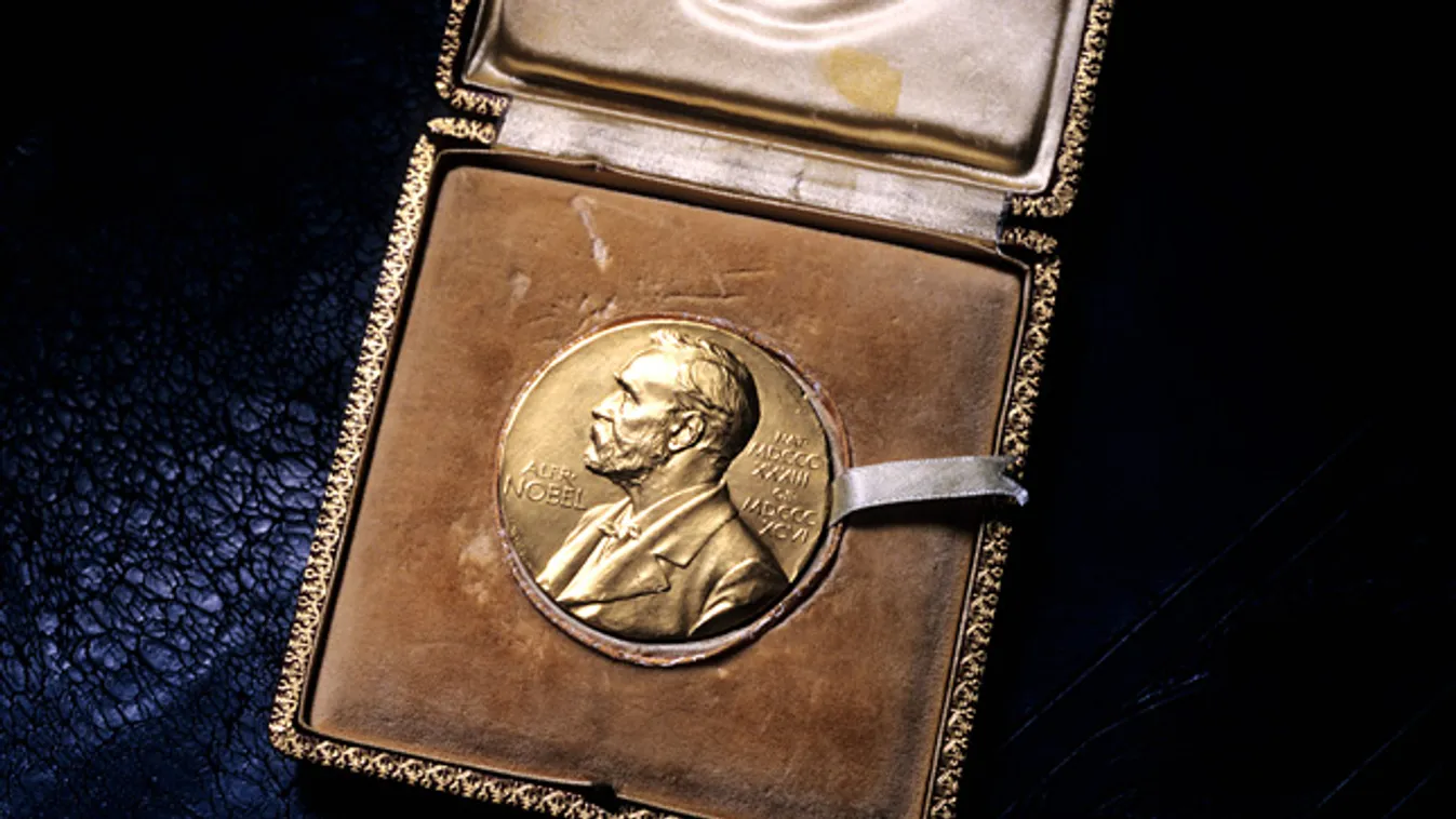 Nobel-díj, Alfred Nobel 