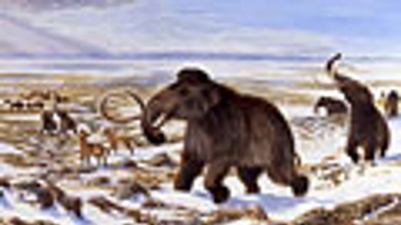 megafauna, kihalás, jégkorszak