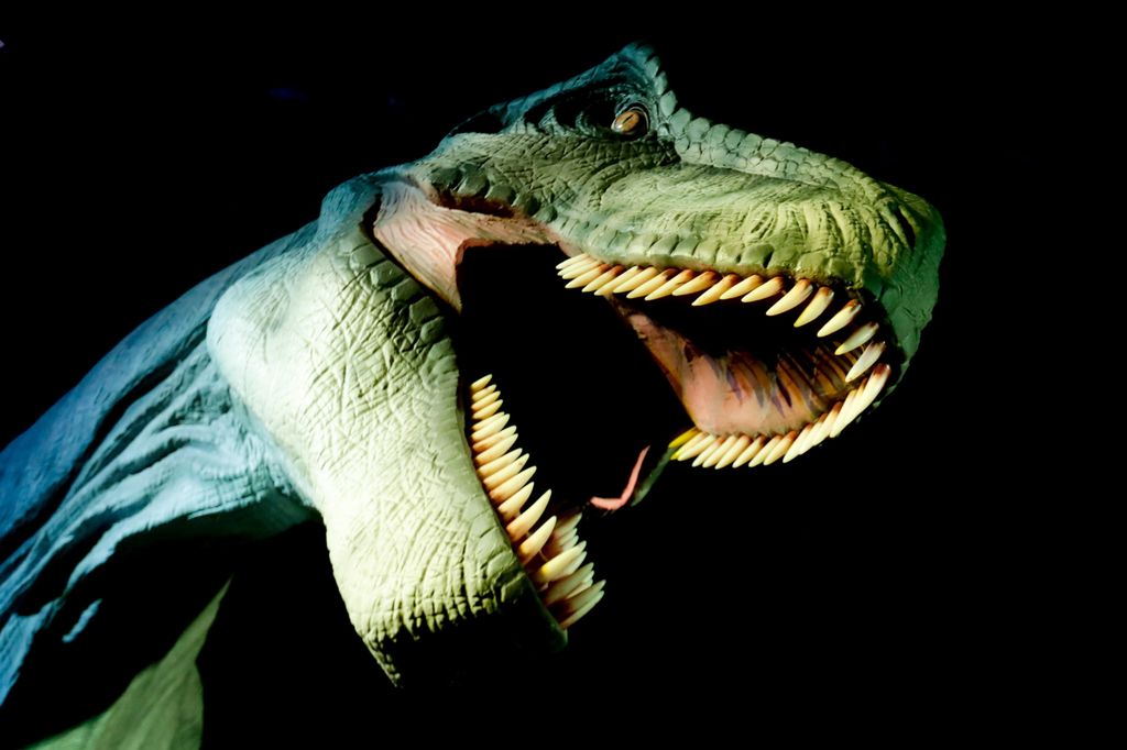 Dinoszaurusz kiállítás Brüsszel 