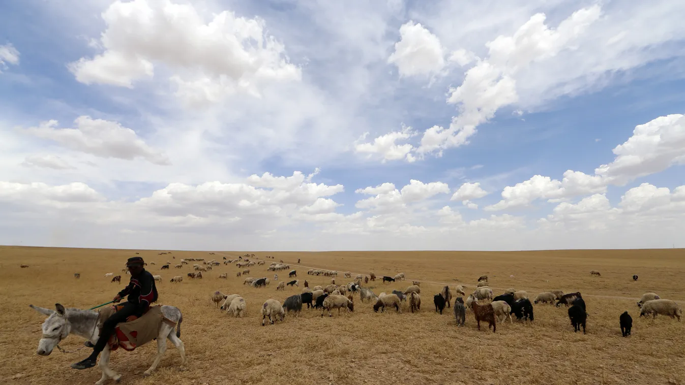 iraki farm, farmer 