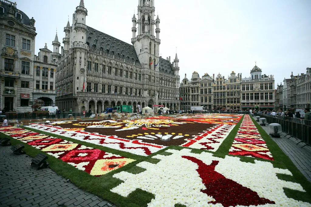 belgium brüsszel főtér virág virágszőnyeg 