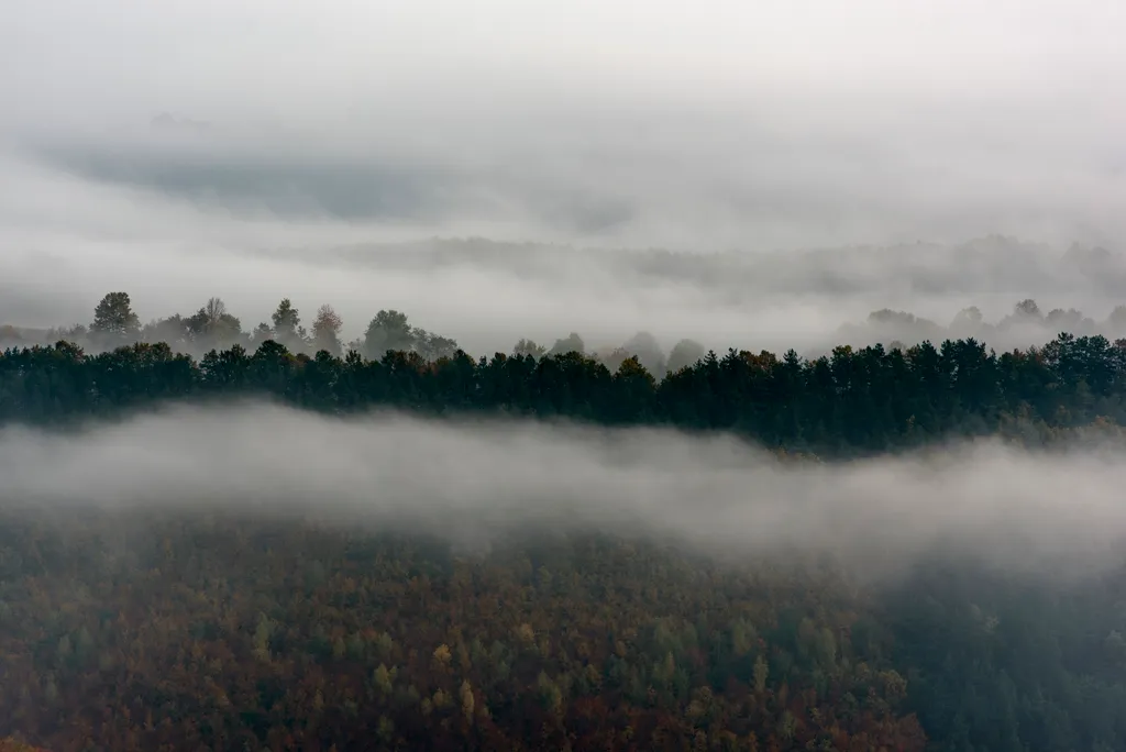 reggeli köd  FOTÓ FOTÓTÉMA IDŐJÁRÁS ködös napfelkelte NAPSZAK tájkép természetfotó 