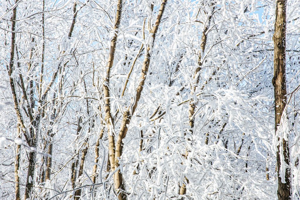 Dobogókő Pilis télen hó havas tájkép Dobogókő, Pilis télen időjárás 
