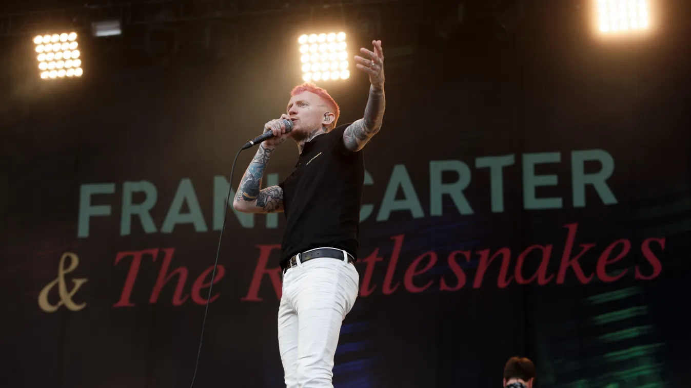 Frank Carter and the Rattlesnakes 