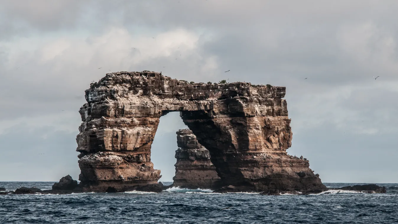 Darwin, Darwin híd, Galápagos 