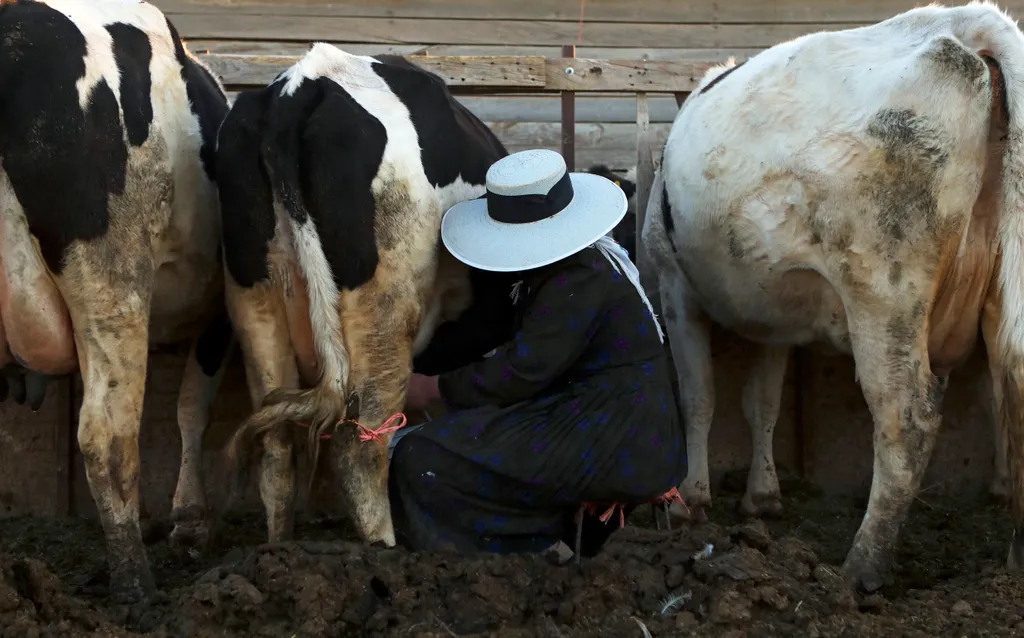 mennoniták, Sabinal, Mexikó 