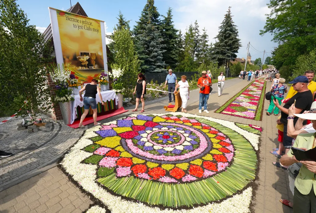 Corpus Christi vallásos körmenet alkalmából virágszőnyeget terítenek le Spycimierzben, Lengyelországban, vallás, kereszténység, felvonulás, virág, virágszirom, ünnep, ünneplés, vallási ünnep 