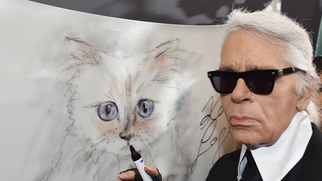 Karl Lagerfeld, Choupette macska 
