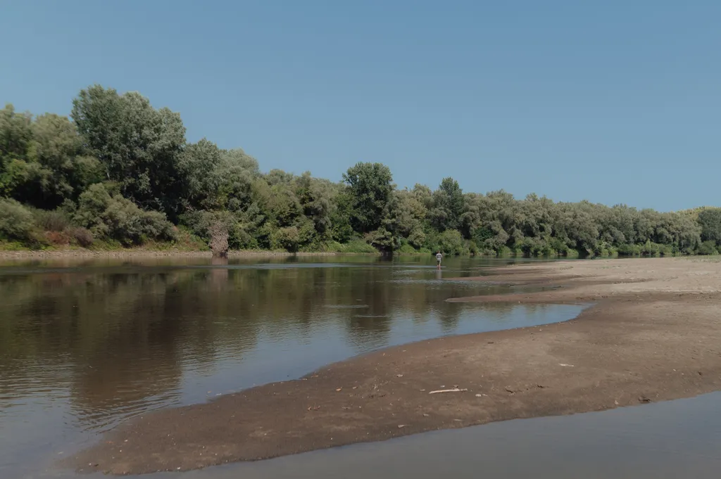 Árvíz és aszály a világban  Water levels in the river Tisza dropping drastically due to severe droughts climate change,drought,dry,Eastern Europe,Europe,hot,receeding,r Horizontal 