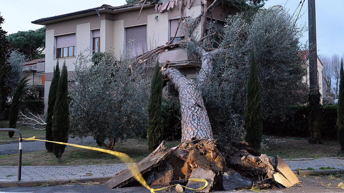 Ponsacco, 2015. március 5.
A viharos erejű szél által kicsavart, lakóházra dőlt fatörzs a Pisa tartományban fekvő Ponsaccóban 2015. március 5-én. (MTI/EPA) 