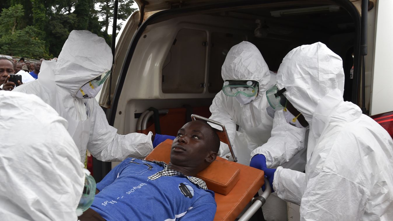 Ebola, beteg, Nyugat-Afrika 