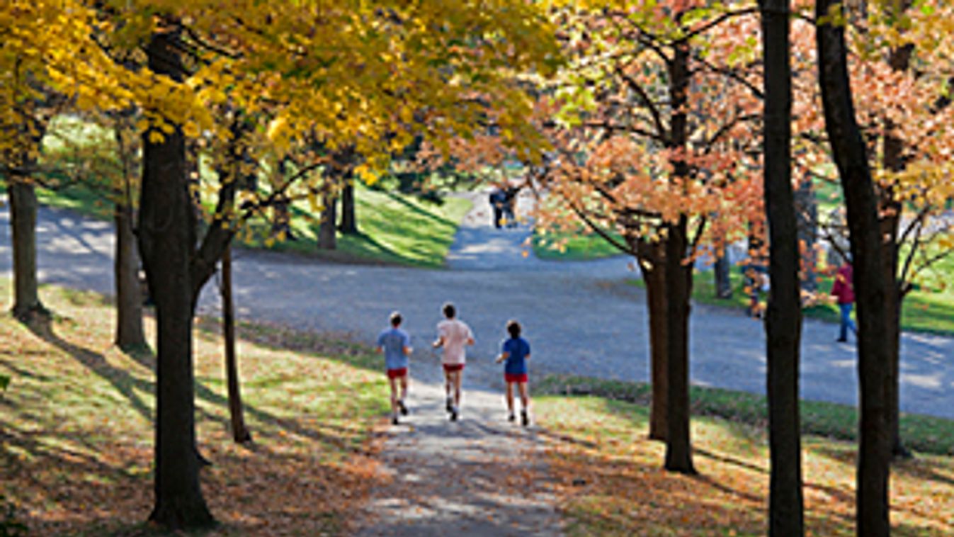 kocogás, finesz, jogging, szabadidősport, futás, futók a kanadai Montrealban, Mount Royal Park 