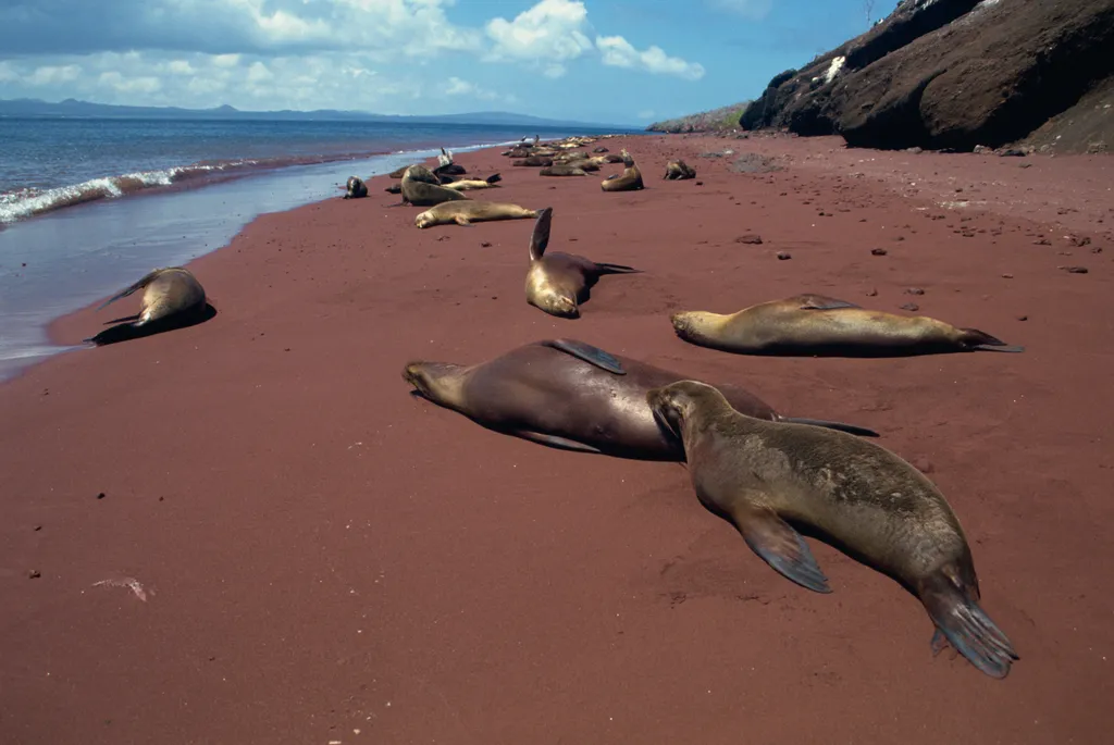 Rábida-sziget Galapagos vörös homok 