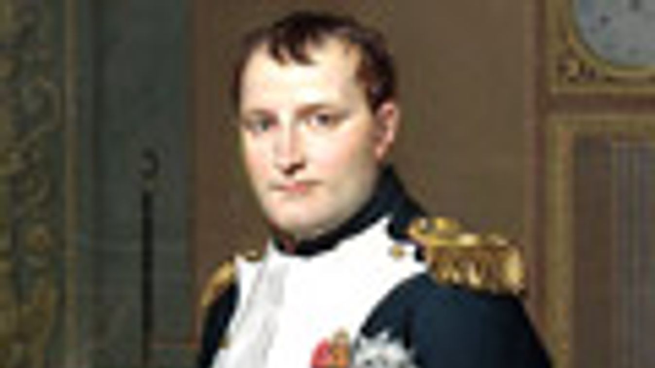 Napóleon, 200 éves borogyinói csata 