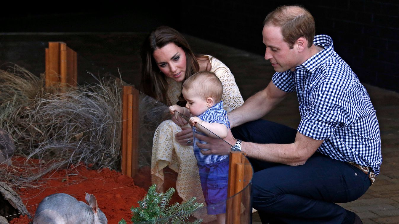 György herceg és a bilby, Vilmos herceg és családja a syndey-i állatkertben 