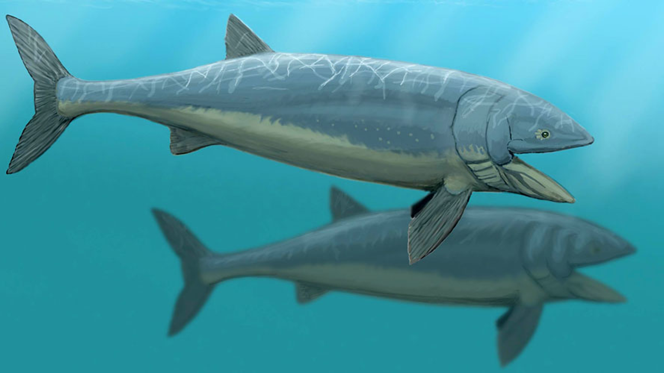Leedsichthys, egy óriási hal amely a késő jura korban élt évmilliókkal ezelőtt