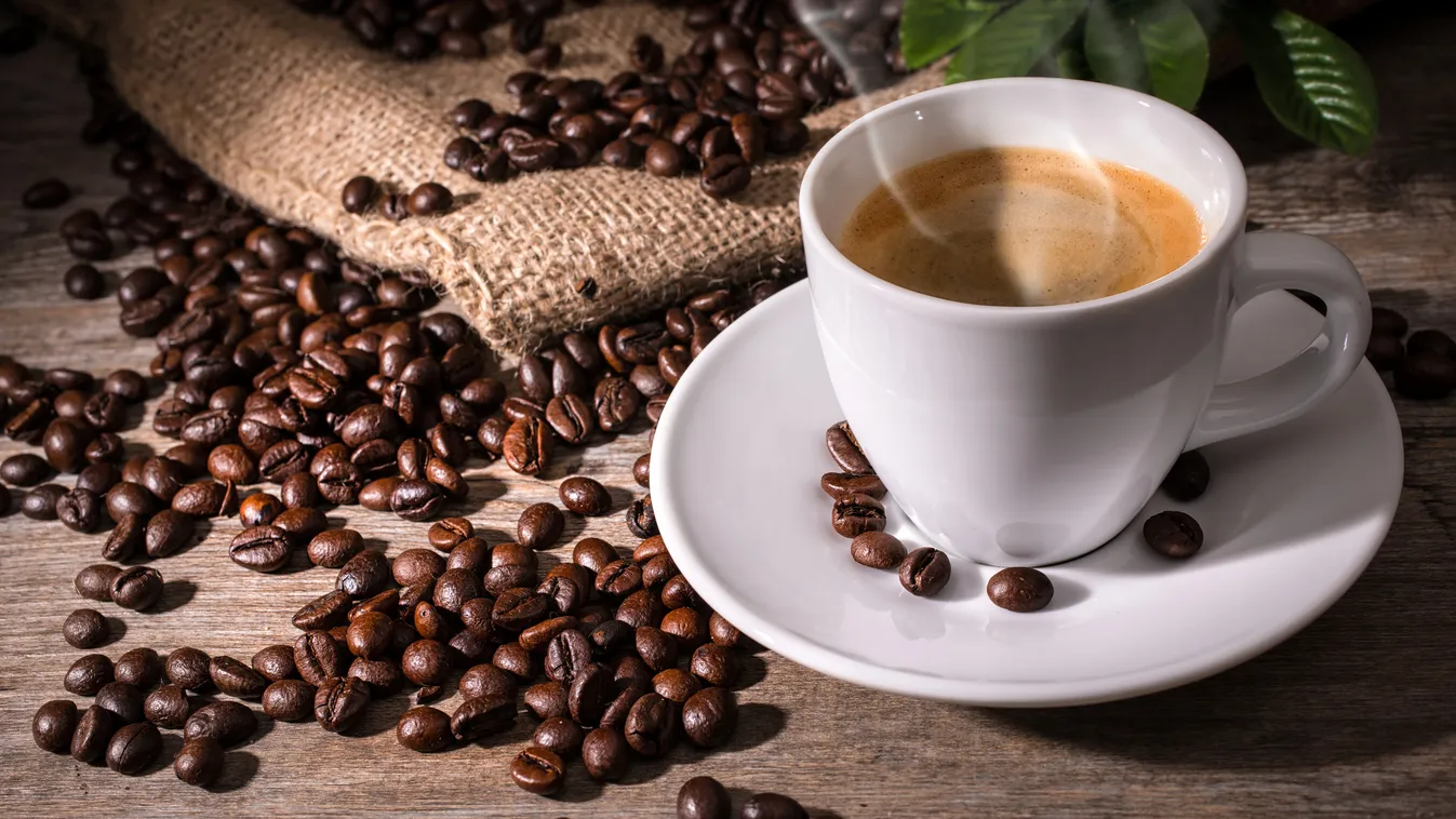 Így lesz a kávébabból egy csészényi fekete csoda – Kávépörkölő üzemben jártunk kult 