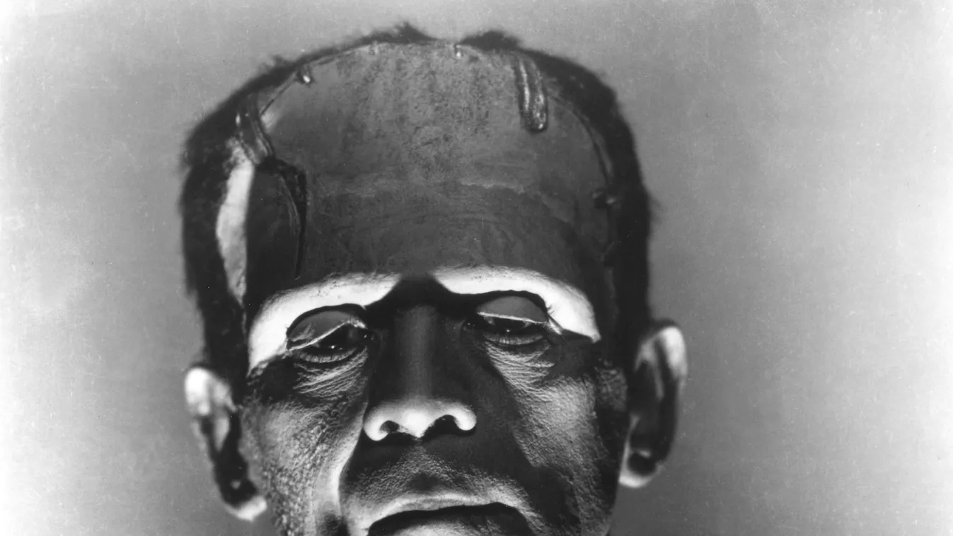 Frankenstein, Boris Karloff 