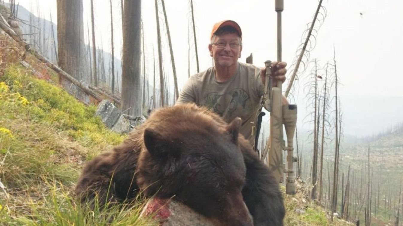 medve, vadászat, Colorado 