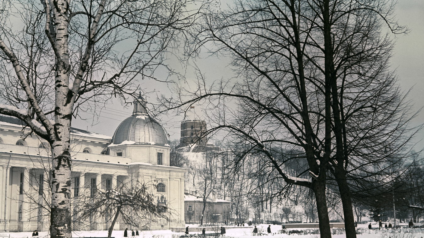 Vilnius Cathedral in winter snow birch sight structure HORIZONTAL 