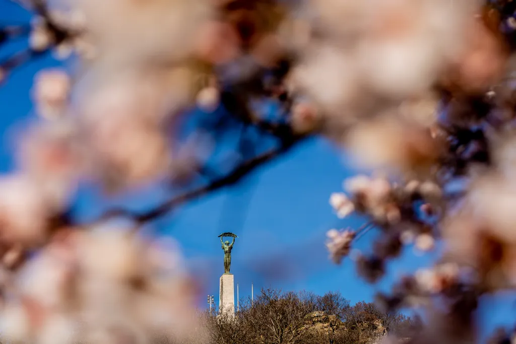 tavasz, virágzás, időjárás, napsütés, Budapest 