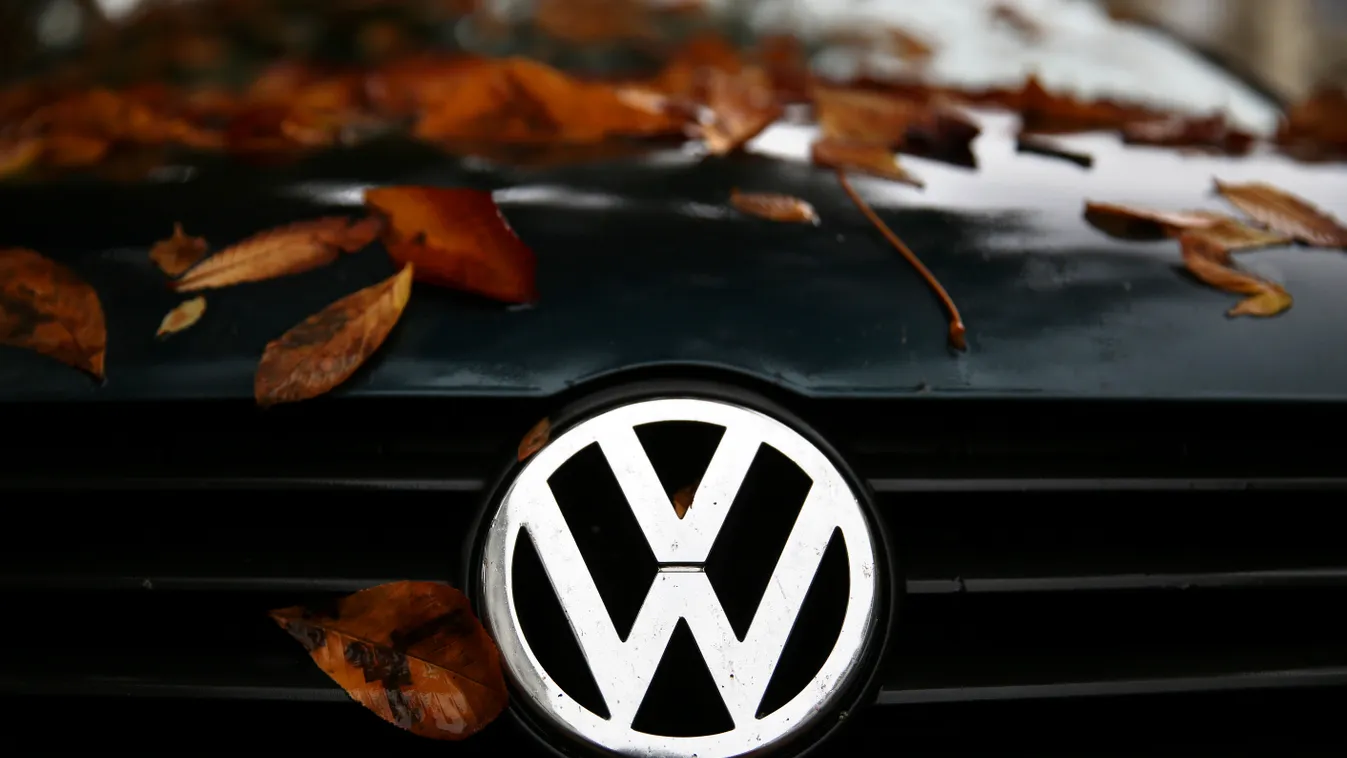 Volkswagen with autumn leaves lsn VW VOLKSWAGEN SQUARE FORMAT 