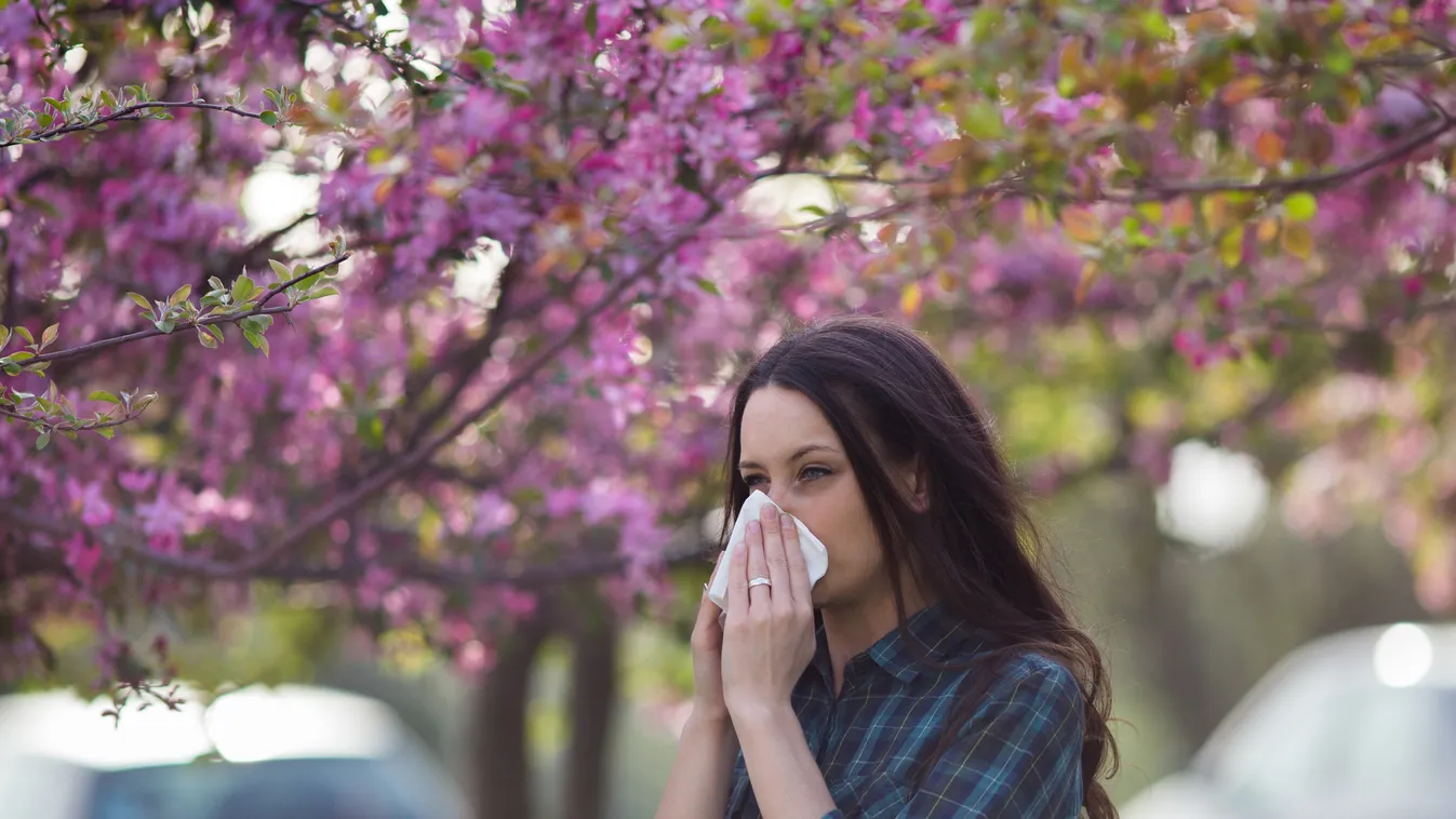 pollen allergia 