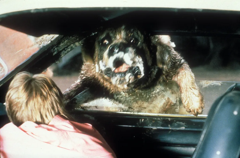 Cujo st bernard big dog rabid Cinema Horizontal HORROR FILM 