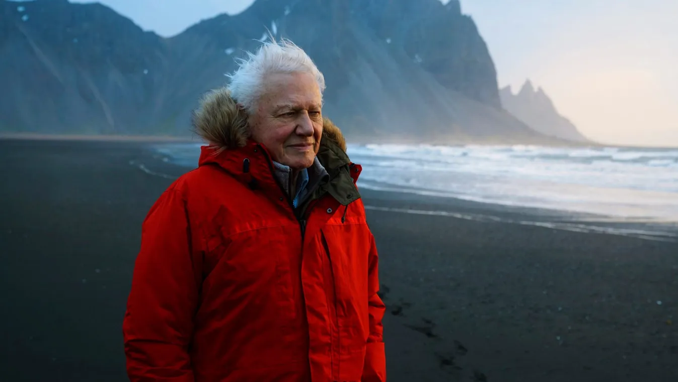 David Attenborough több mint fél évszázada meghatározó szereplője a média és a természetvédelem világának. 