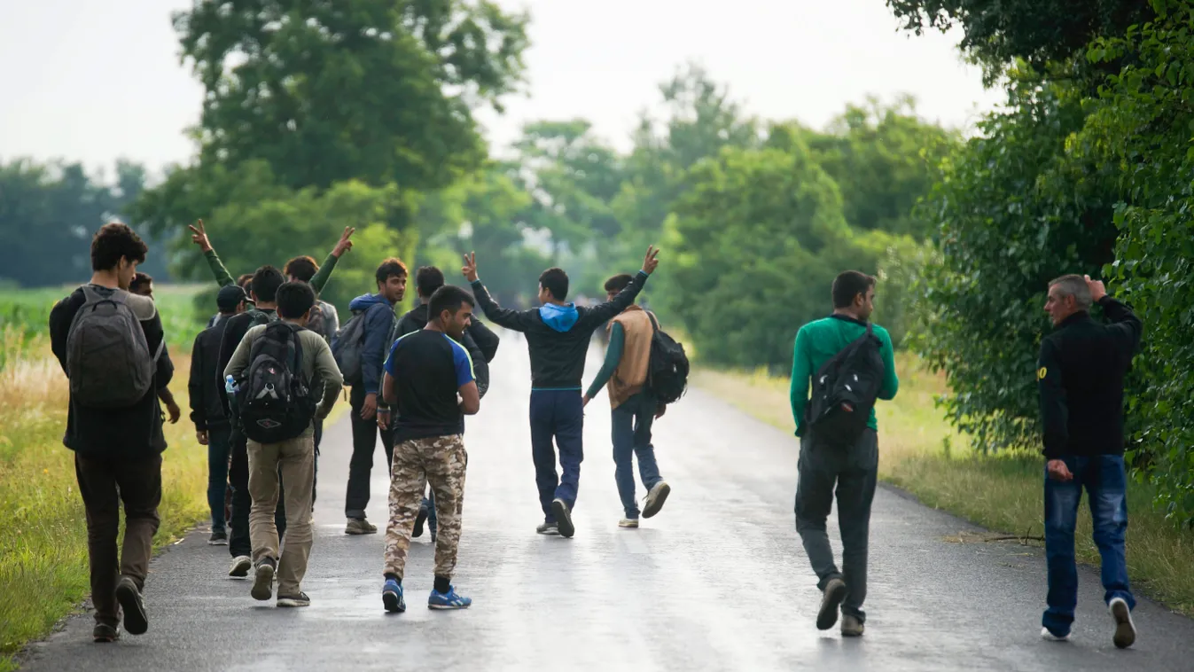 menekült SZEMÉLY Mórahalom, 2015. június 28.
Afgán migránsok Mórahalom határában 2015. június 28-án.
MTI Fotó: Balogh Zoltán menekültek 