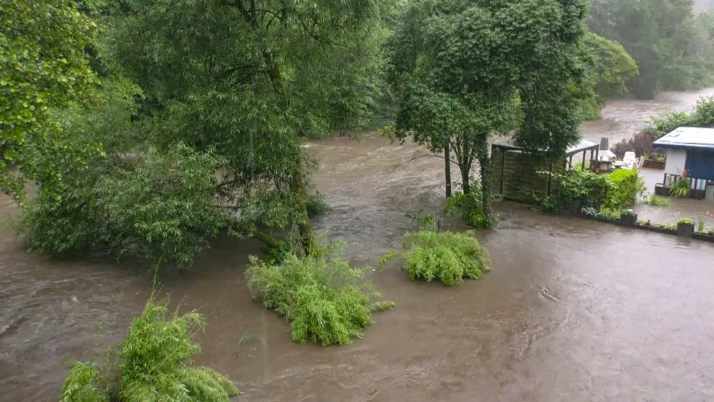 Rajna-vidék, Németország, Rajna, folyó, áradás, eső, időjárás, katasztrófa 