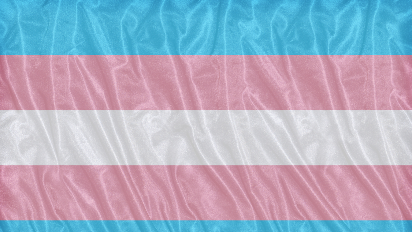 Transgender,Pride,Flag,Pattern,On,The,Fabric,Texture,,vintage,Style homosexuality,symbol,flag,color,correct,graphical,icon,sign,yell, transz, gender, transzneműek, transznemű 
