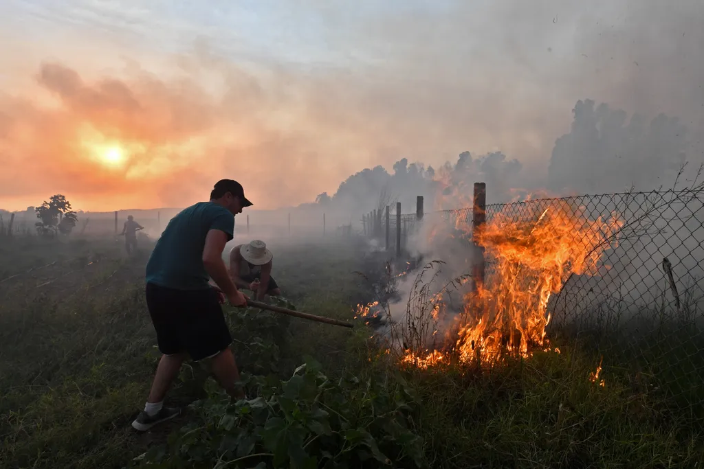 tűz, erdőtűz, bozóttűz, szárazság, nyár, hőség, Földközi-tenger, térség, Tunézia 