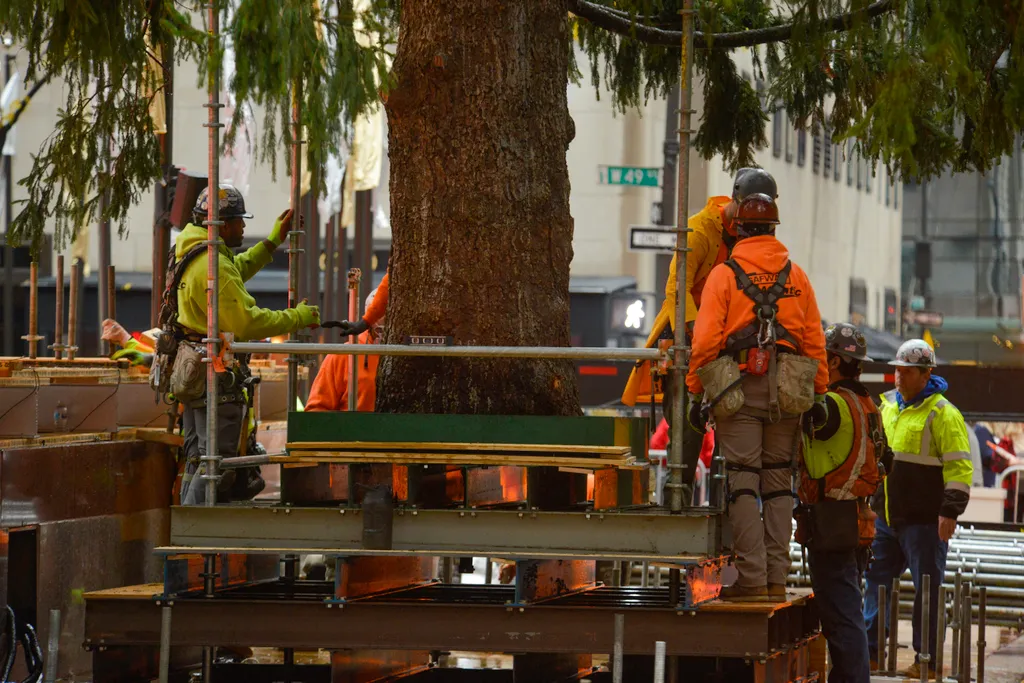 79-foot Christmas Tree Arrives In New York City's Rockefeller Center NurPhoto General news November 13 2021 13th November 2021 Rockefeller Plaza Trees Horizontal, Karácsonyfa 