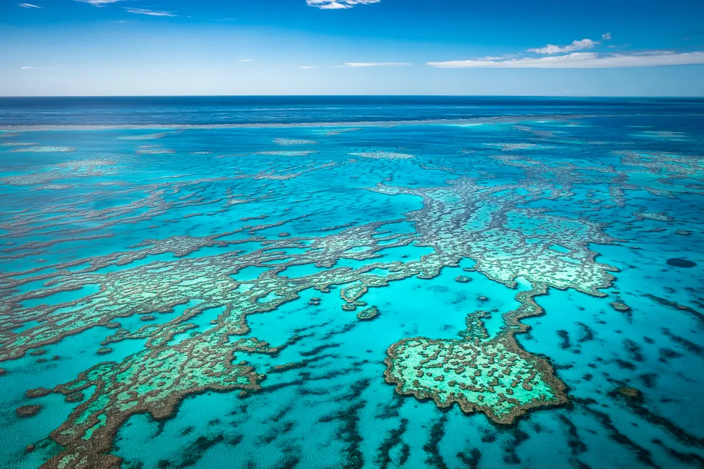 Nagy, korallzátony, Ausztrália, 