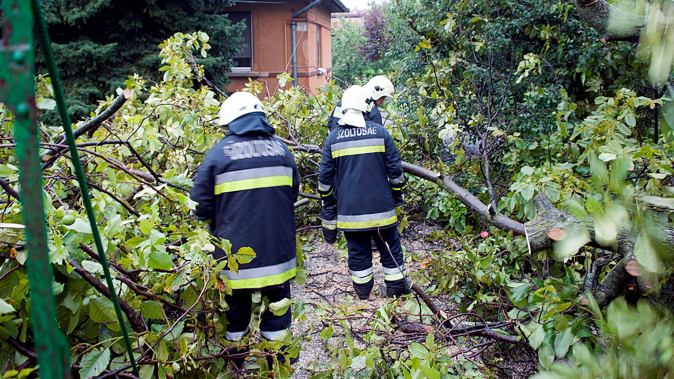 Családi ház kerítésére dőlt egy fa Budapesten 