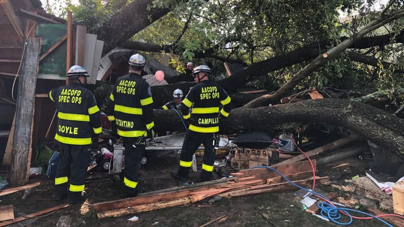 Maryland, vihar, garázs, fa dőlt egy garázsra, 19 sérült 