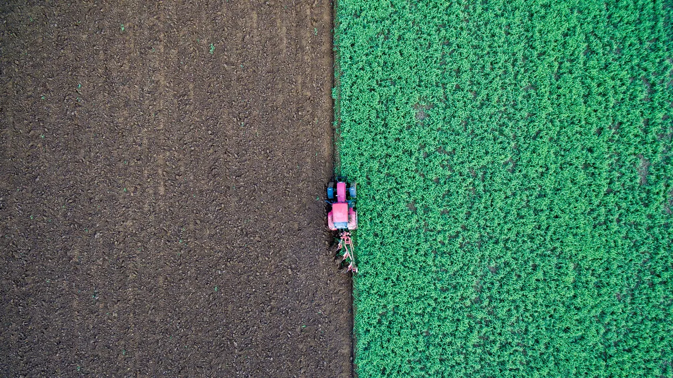 mezőgazdaság agrár traktor 