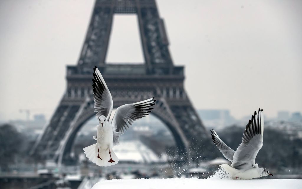 Párizs, 2018. február 7.
Madarak szállnak le egy behavazott párkányra az Eiffel-torony közelében, Párizsban 2018. február 7-én. (MTI/EPA/Ian Langsdon) 