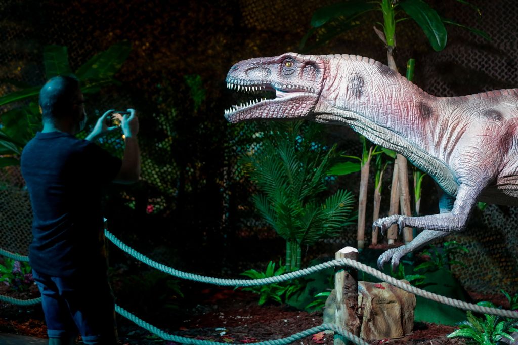 Dinoszaurusz kiállítás Brüsszel 