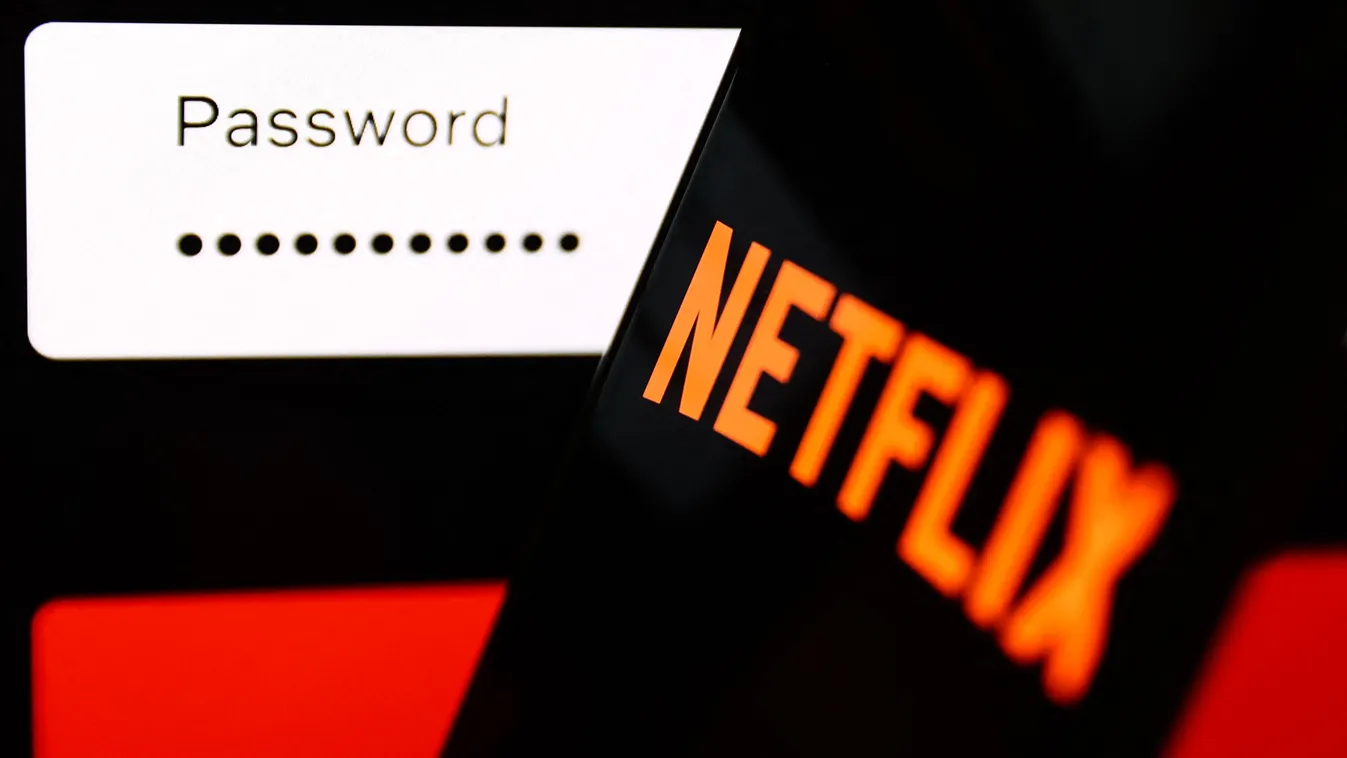 Netflix Passwords Photo Illustrations emblem in log login netflix nflx page password paypal platform service signin streaming sign in laptop illustration photo Krakow Poland January 2 2023 Jakub Porzycki/NurPhoto Horizontal COMPANY ECONOMY FINANCE LOGO PH