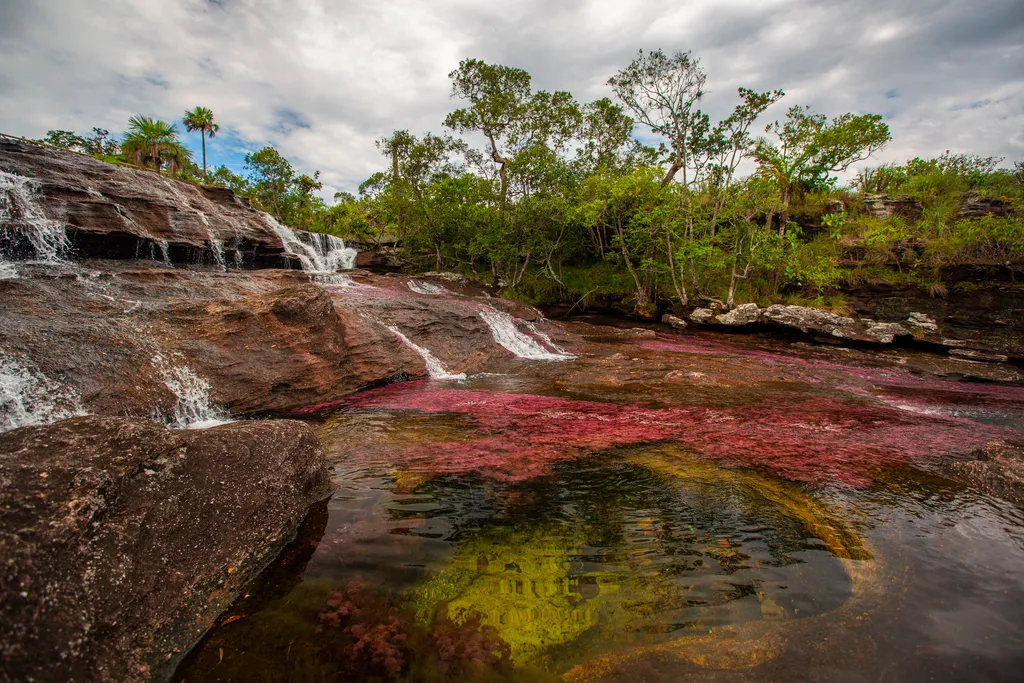 Cano Cristales Kristály folyó Kolumbia 