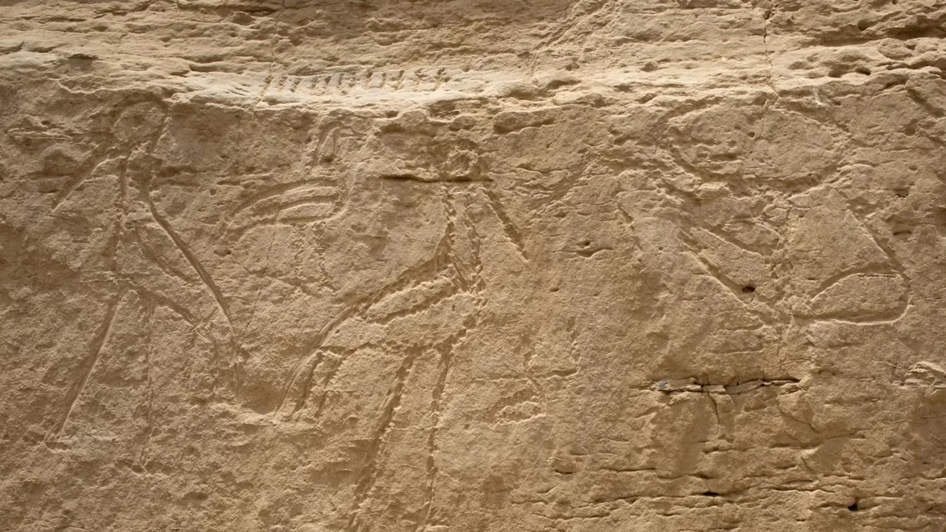 hieroglifa 