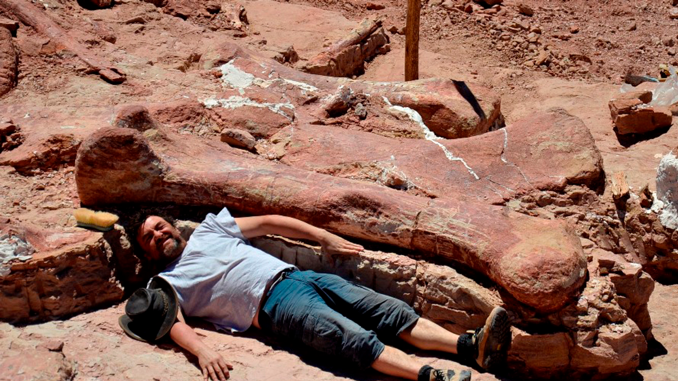 A valaha élt legnagyobb dinoszaurusz megkövült csontjaira bukkantak Argentinában 
