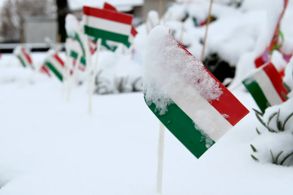 havazás Gyál, 2018. március 18.
Behavazott papírzászlók Gyálon 2018. március 18-án.
MTI Fotó: Koszticsák Szilárd 