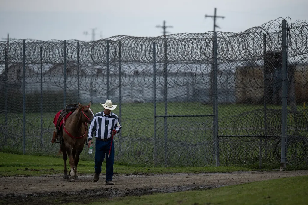 Rodeó rabok,rab, Louisiana, prison prison Horizontal RODEO 