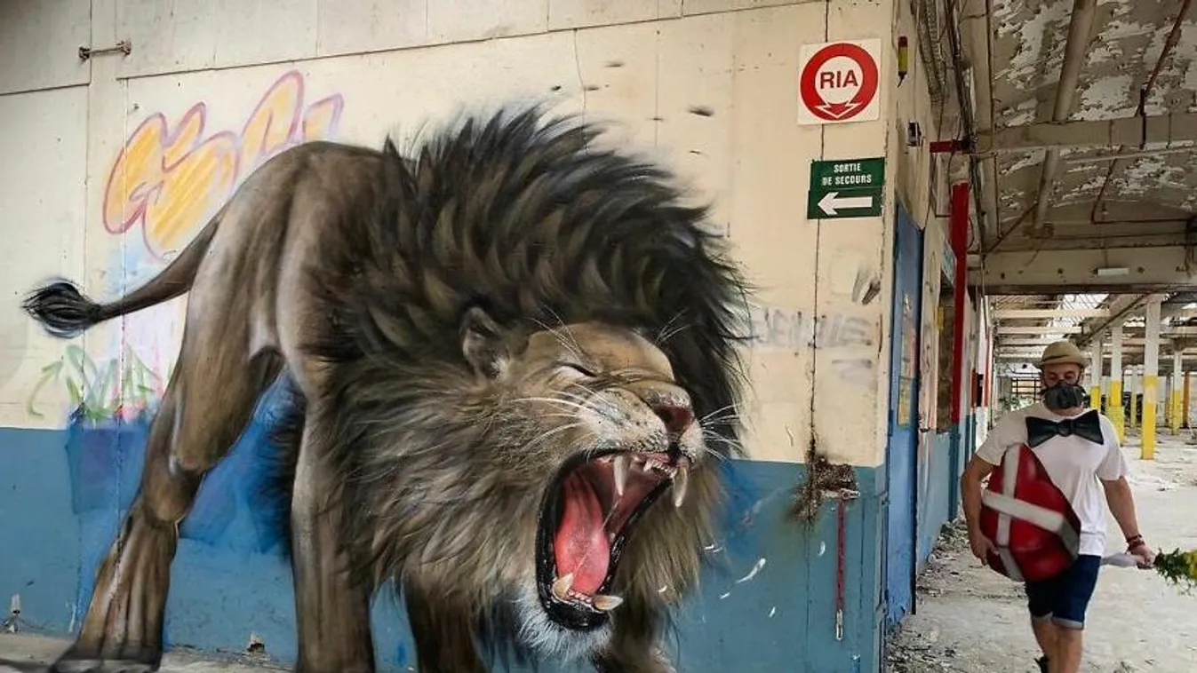 Lenyűgöző 3D-s graffiti alkotásokkal sokkolja a járókelőket az utcákon a francia művész - Galéria 