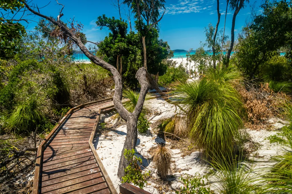 Whiteheaven Beach: Ausztrália egyik legszebb, paradicsomi hangulatú tengerpartja, galéria, 2023 